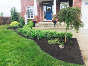 luxury home gardening image green ninja local lawn care company website london ontario