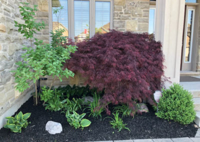 entryway garden image for local lawn care company website london ontario