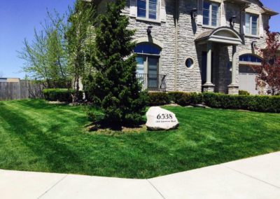 large beautiful lawn image local lawn care company website london ontario