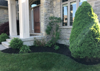 stunning bushes image for local lawn care company website london ontario