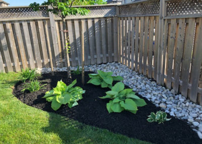 green corner garden image for local lawn care company website london ontario