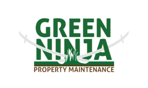 green ninja logo