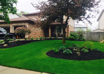 bright lovely lawn image local lawn care company website london ontario