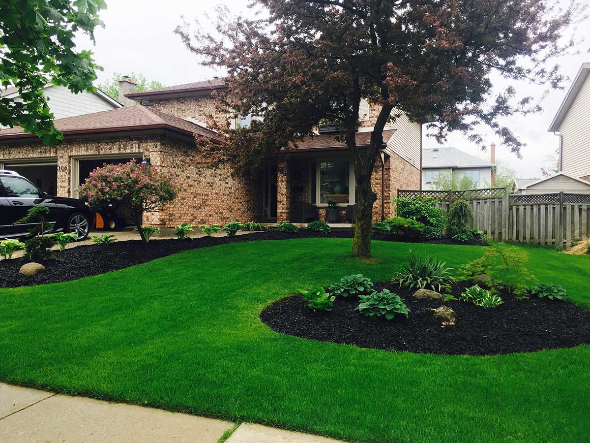 bright lovely lawn image local lawn care company website london ontario