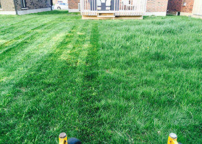 before after lawn image local lawn care company website london ontario