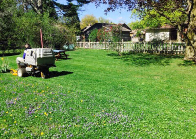 mowing grass large image local lawn care company website london ontario