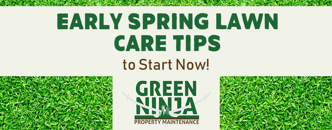 early spring lawn care blog image edit local lawn care company website london ontario