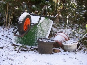 lawn care winter yard debris blog image