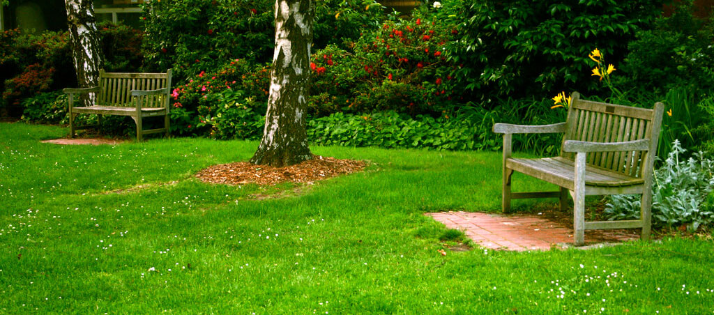 lawn yard benches image local lawn care company website london ontario