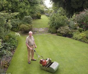 The Best Lawn in England