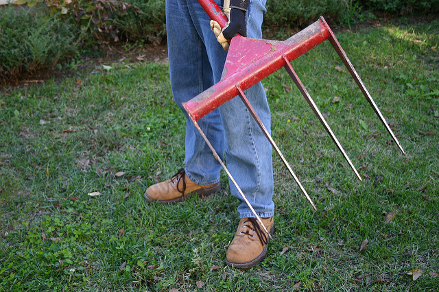 aerate lawn