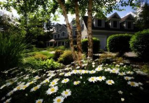 curb appeal house image 