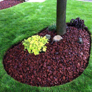 small manicured garden tree image local lawn care company website london ontario