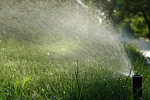 grass lawn sprinkler image local garden blog image local lawn care company website london ontario