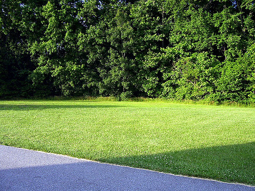 lovely lawn image local lawn care company website london ontario