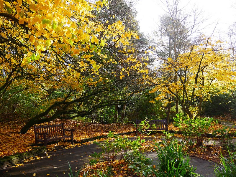 Fall Gardening Tips