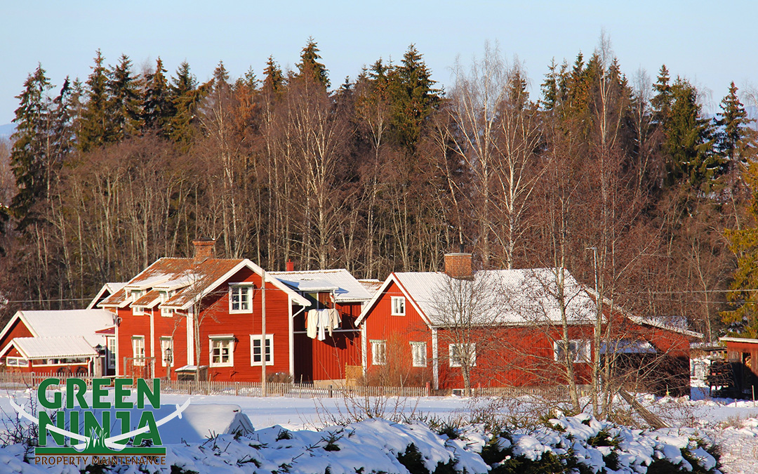 Winter Salting Products Kill Grass? What To Do About It